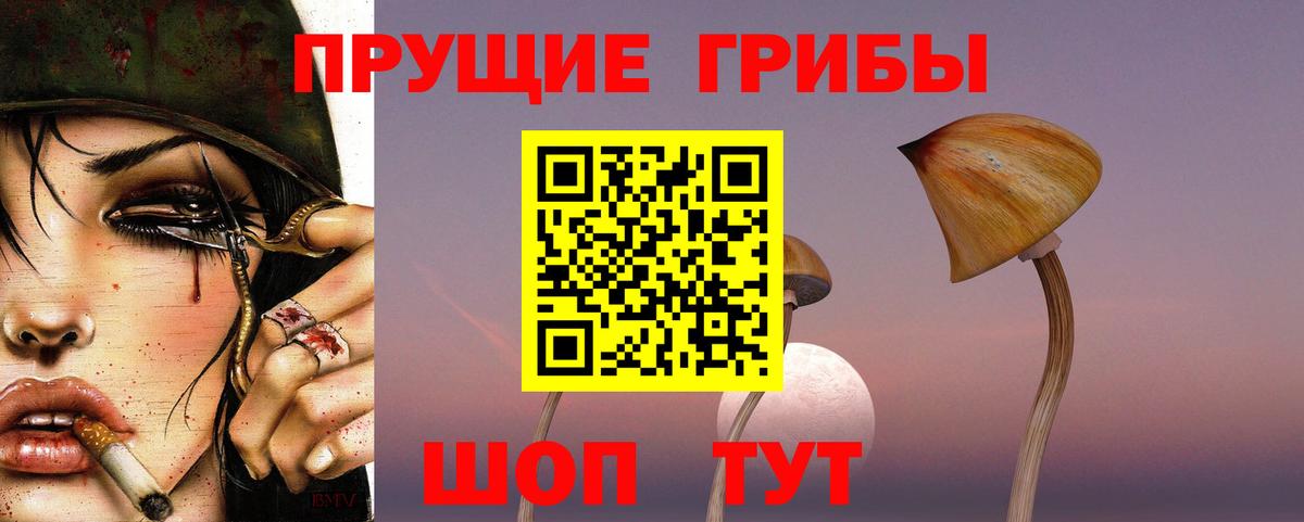 Псилоцибиновые грибы GOLDEN TEACHER Киреевск